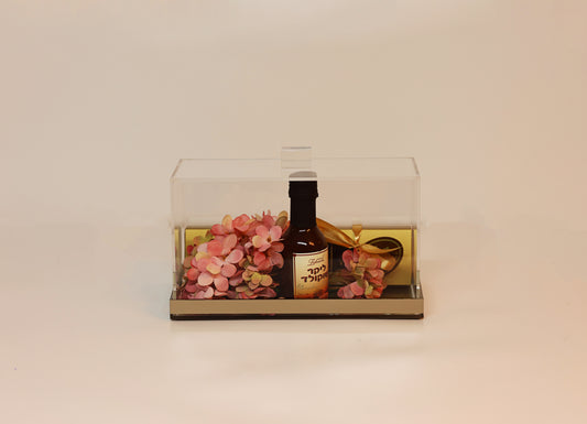 Lucite cake box medium